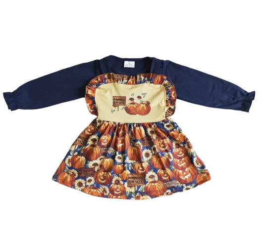 Girls Pumpkin Patch Dress and Under Shirt